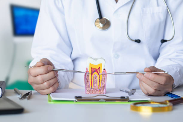 Best Emergency Dentist for Lost Fillings or Crowns in Castle Rock, CO